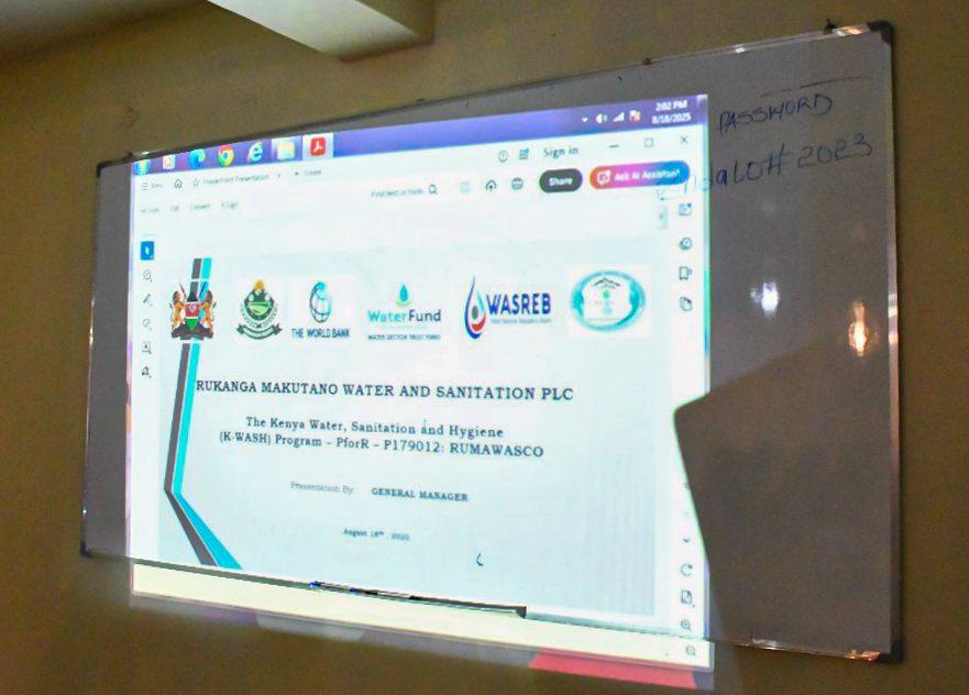 REVIEW OF THE PROGRESS OF THE PROGRAM'S IMPLEMENTATION 