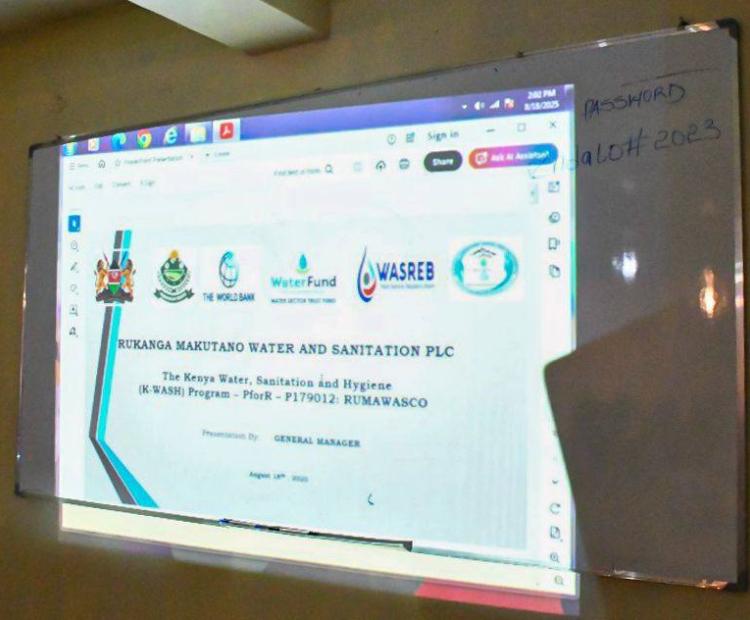 REVIEW OF THE PROGRESS OF THE PROGRAM'S IMPLEMENTATION 